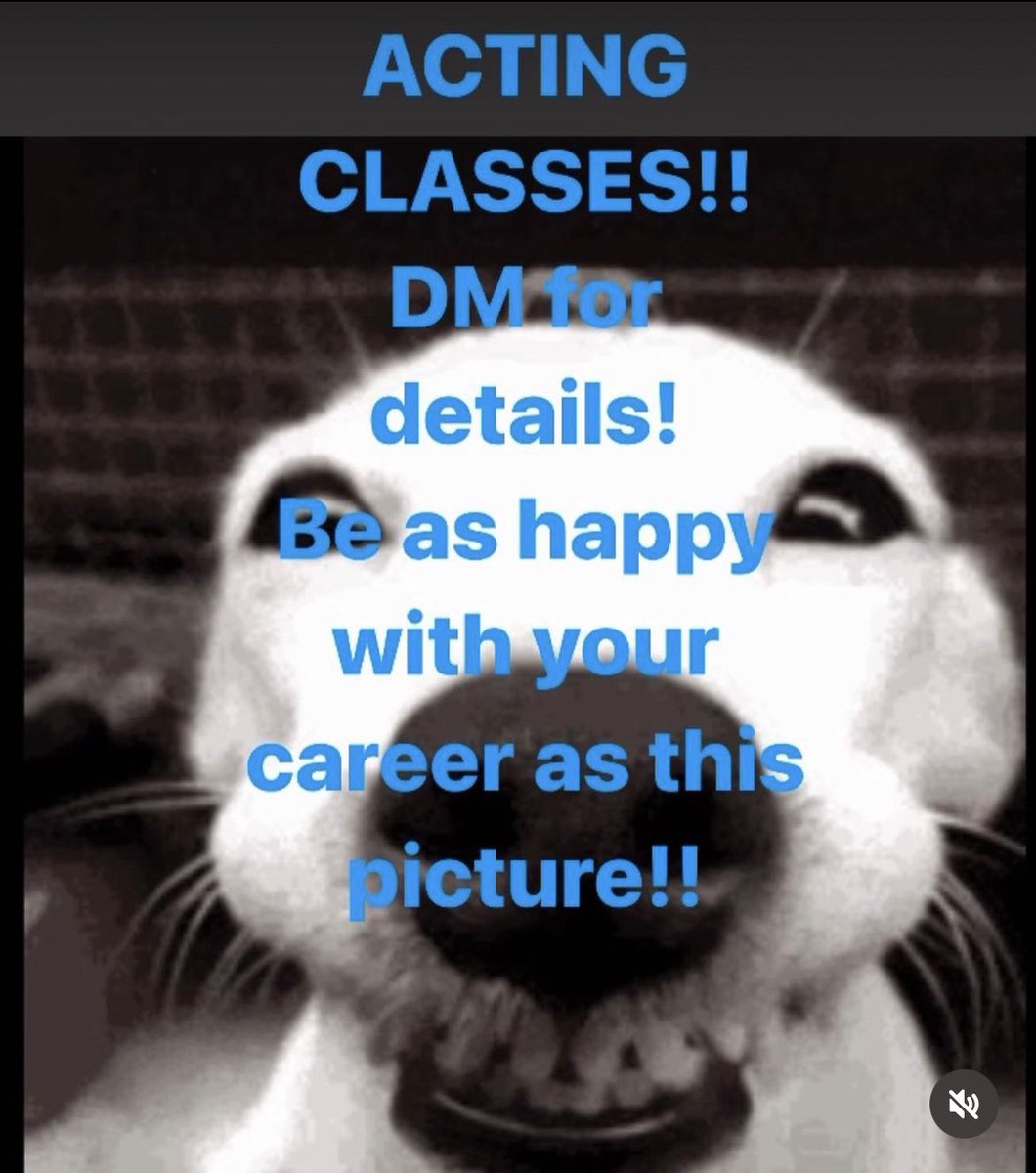 michaeltesta's tweet image. Come aboard!  Acting/Audition/Self-tape classes!  Informative/Challenging/Reasonable/Fun.  DM me with your email and to get more information and start on the correct path in your acting career!  It is a career! #actinglife #challenges