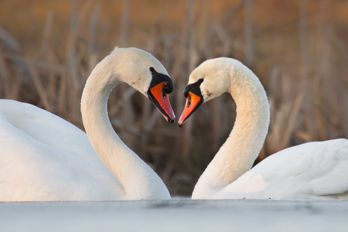 Everywhere you look there are 💚 in nature