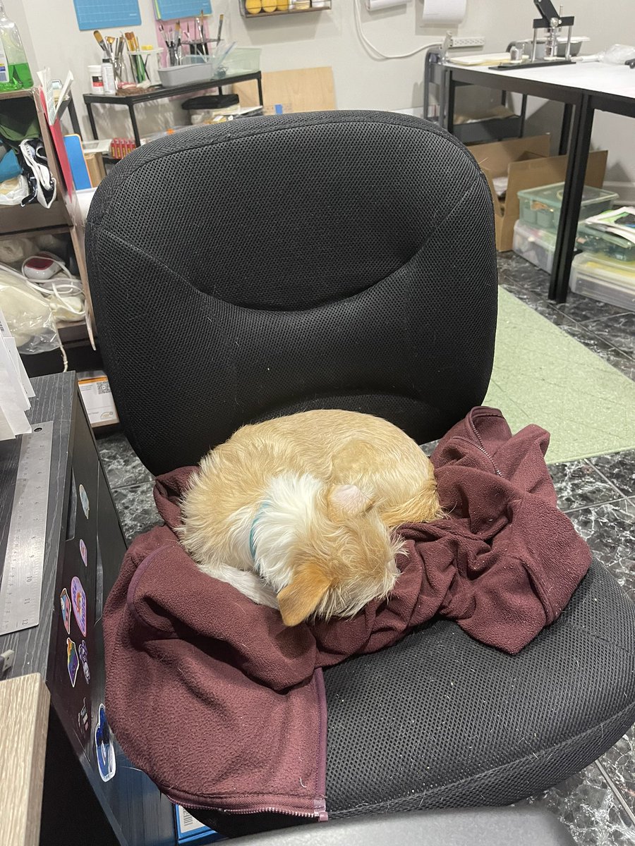 I made the choice of offering Tate an extra office chair last week so he could “sit with me” and now this is what we do apparently.