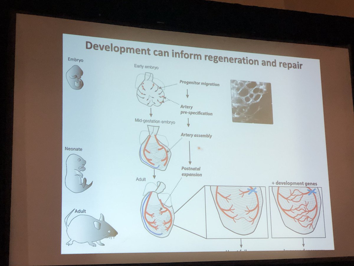 Sean M Wu, MD PhD tweet media