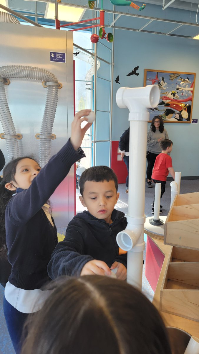 Lincoln School tweet media