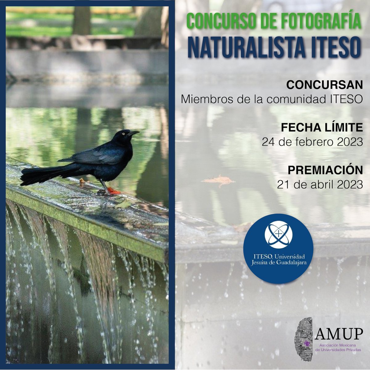 AMUP_MX's tweet photo. Participa en el Concurso Naturalista del @ITESO 2023. 

Consulta la bases aquí ---> https://t.co/VyNWLFcx5w

#Fotografía #Concurso #Naturaleza #ITESO #AMUP https://t.co/91aVrR3COH