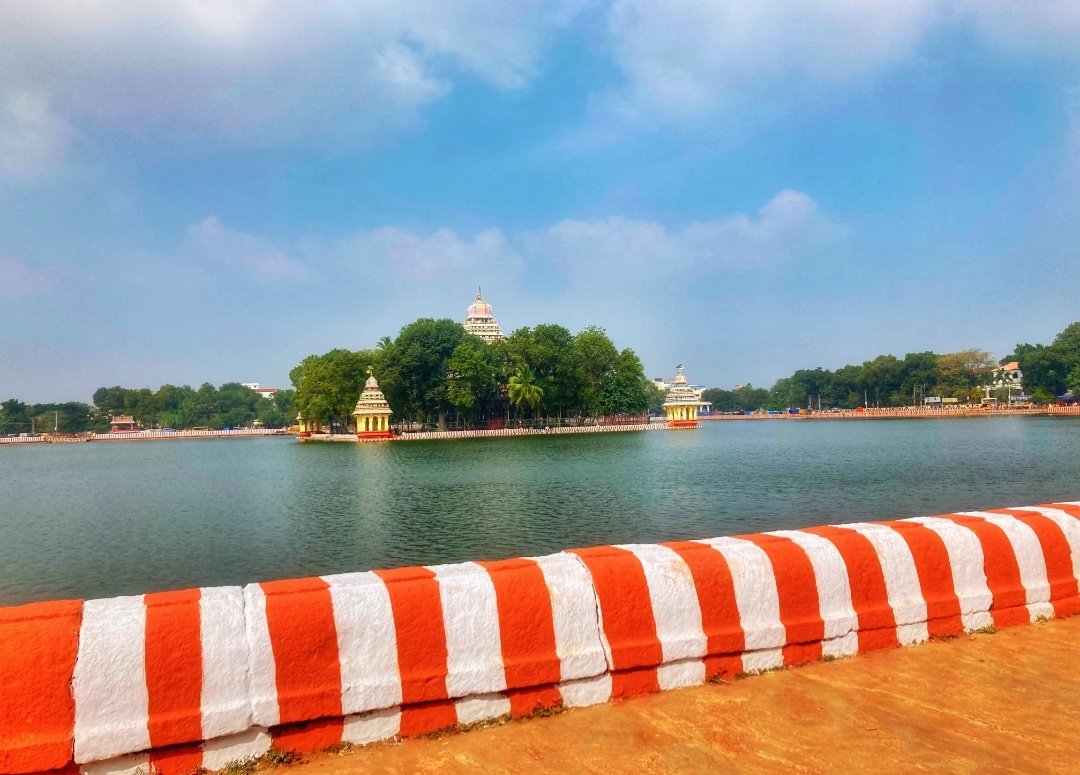 Dr. Riya 🦋🐋 tweet media