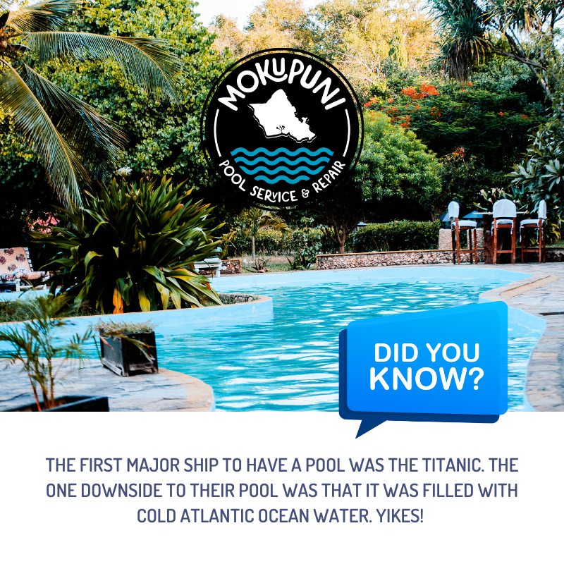 mokupunipools's tweet image. The pool in the famous ship Titanic was said to measure 10 x 20 feet, making it medium-sized overall!
.
.
#didyouknow #pooltrivia #pools #pool #poolcleaning #poolcleaners #poolmaintenance #poolrepair #Honolulu #Oahu #MokupuniPools
