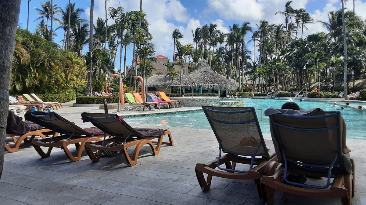 garquake's tweet photo. Lazy pool afternoon after 8 mile barefooten beach run - you guys doing amazing job keeping those accounts rocking on my quick peek - Monster dividend day tomorrow as well- cheers #com #comlife #beach #running #domican #putacana #oott #travel https://t.co/CvUlkFiUhn