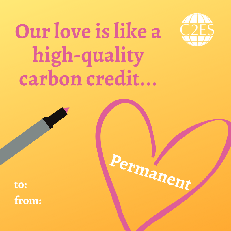 C2ES_org's tweet photo. Need a Valentine's Day card for your climate bae? Don't worry! We've got you covered. 

From net-zero energy and climate action to trains and critical minerals, we have the perfect card for your climate sweetheart. 

Check 'em out⬇️ https://t.co/exuXpBpezx