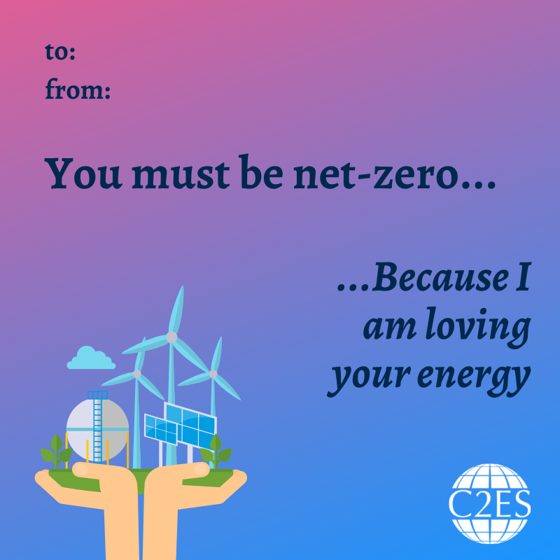 C2ES_org's tweet photo. Need a Valentine's Day card for your climate bae? Don't worry! We've got you covered. 

From net-zero energy and climate action to trains and critical minerals, we have the perfect card for your climate sweetheart. 

Check 'em out⬇️ https://t.co/exuXpBpezx