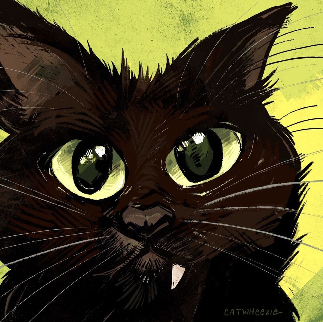 catwheezie's tweet photo. He green boy gang https://t.co/ys2tSj9RSg