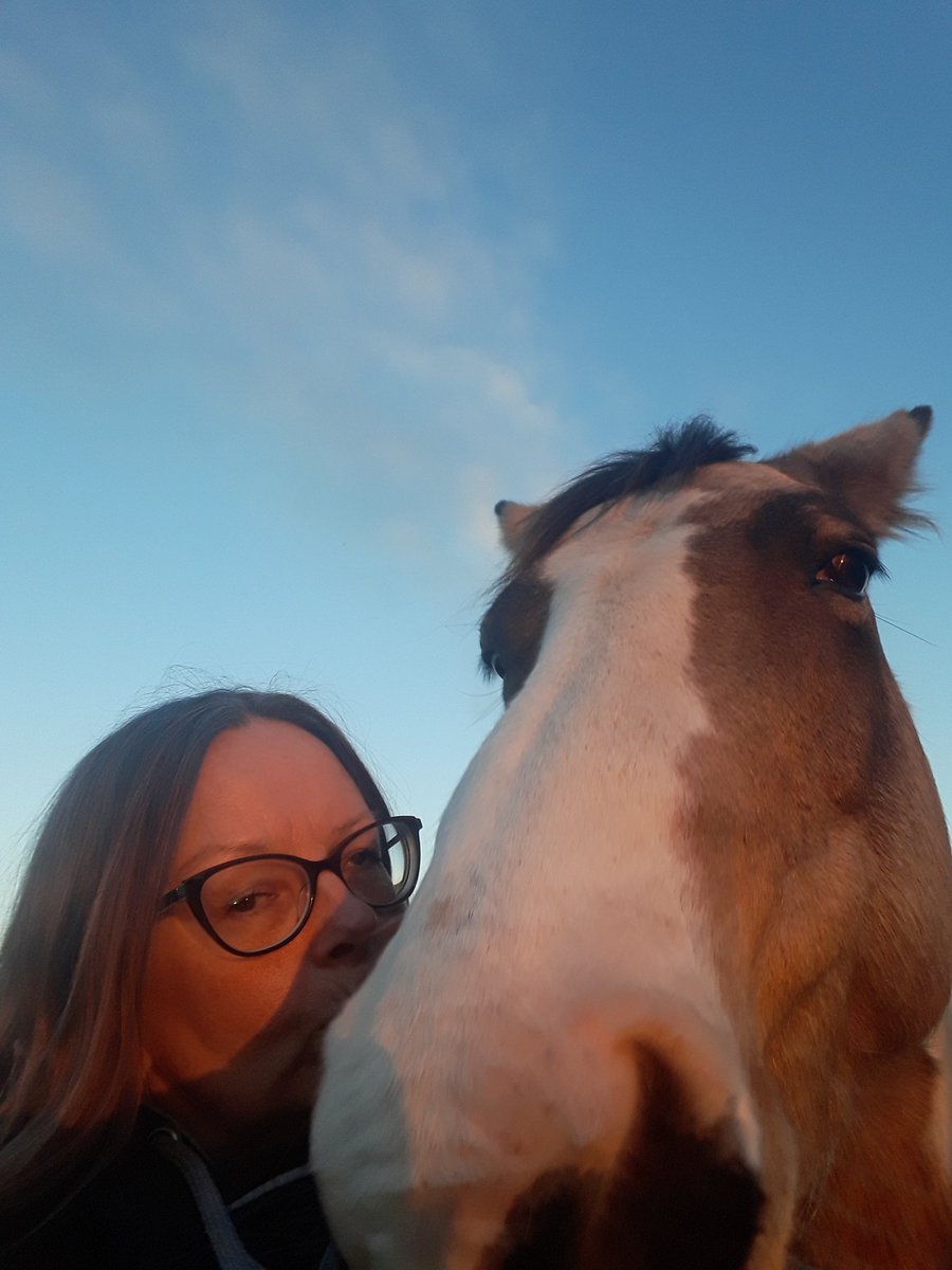 FionaJoy tweet media