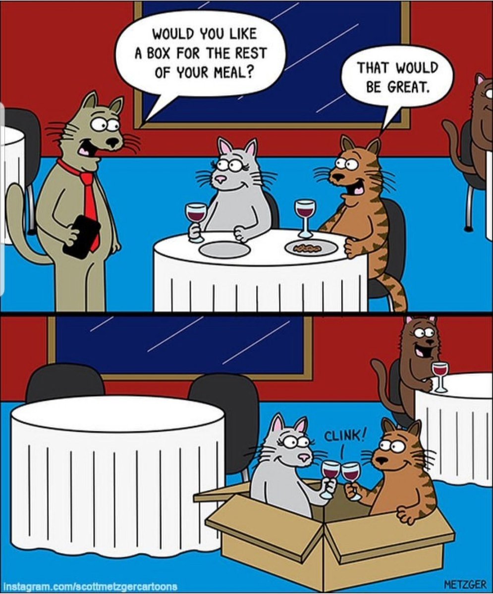 FelineYogi's tweet photo. A romantic dinner for these two lovebirds! Scott Metzger Cartoons are the best! #funnycats #CatsofTwittter https://t.co/CxLjduQlnw