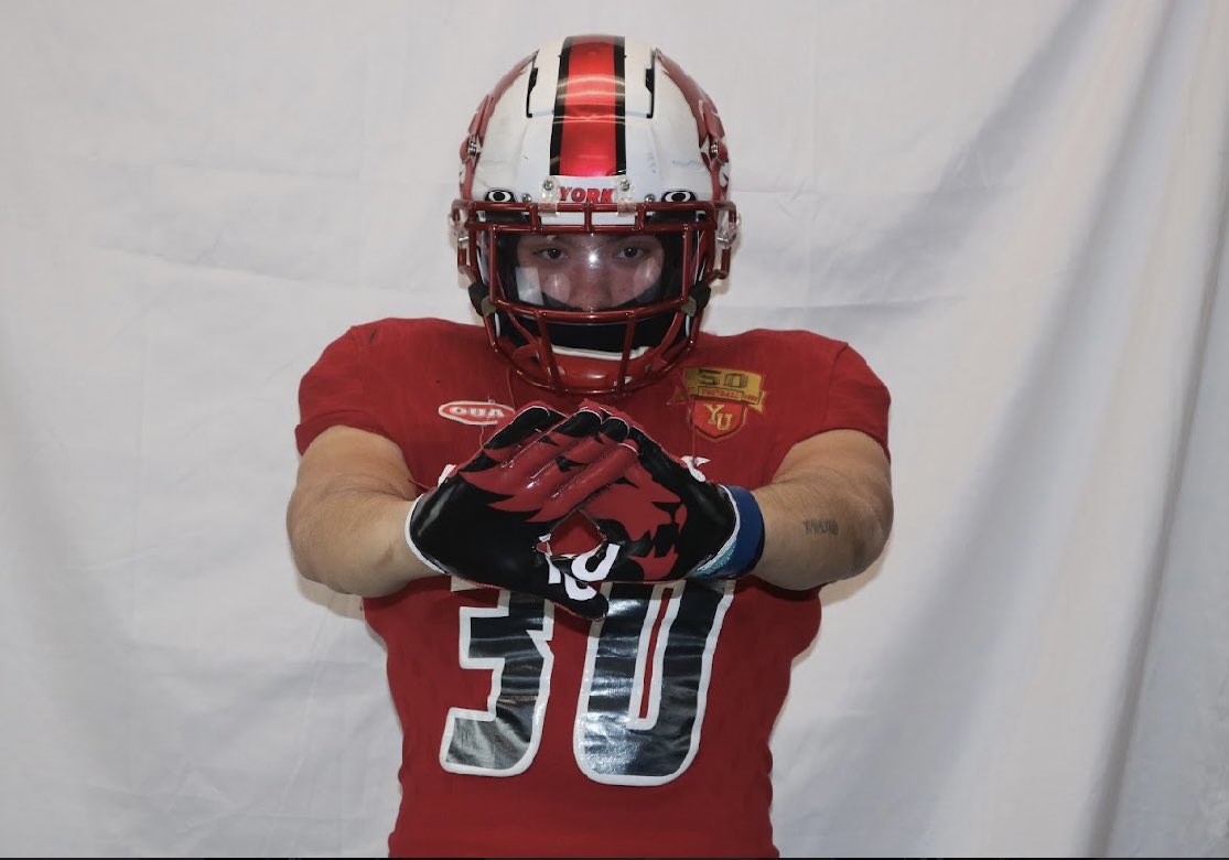 Gavin Shaw tweet media