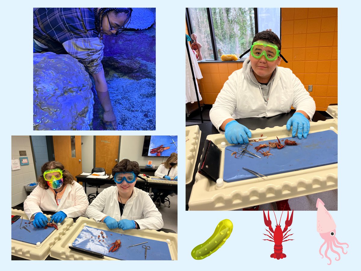 Summit K-8 Virtual Academy tweet media