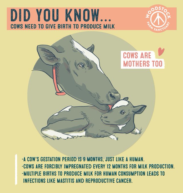 Day 13: #Dairy #Truth

Animal rights is a feminist issue 💪 👩

Let's put an end to kidnapping, abuse, and forced impregnation.

#vegan #govegan #ditchdairy #dairyisscary #plantbased #animalrights #feminism