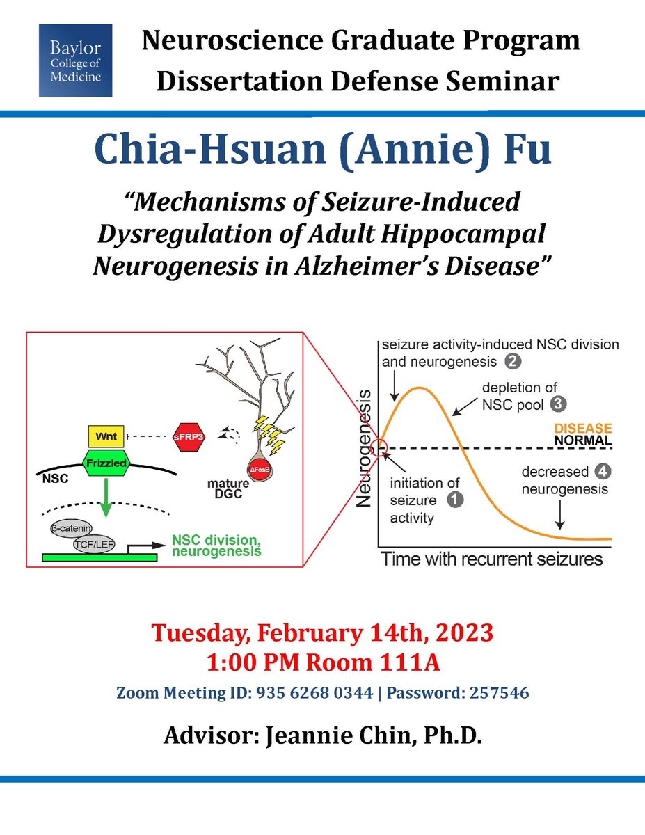 bcm_neurosci's tweet photo. Nothing shows love for #neuroscience like defending your dissertation on Valentine's Day! 💘 Tomorrow, Feb. 14 at 1pm CT, let's cheer on Chia-Hsuan Annie Fu!  😀Seminar title: "Mechanisms of Seizure-Induced Dysregulation of Adult Hippocampal Neurogenesis in #Alzheimers Disease"! https://t.co/yQFdA1W6jd