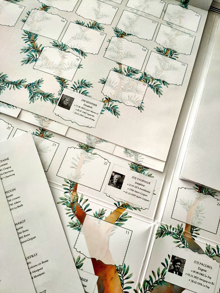 La dernière création de #PassionGenealogie est superbe ! 🌳Arbre ascendant/descendant sur 12 générations + extensions possibles + 2 page de garde agnatique et/ou cognatique ➡️ #generamax
passion-genealogie.fr/fr/30-generamax