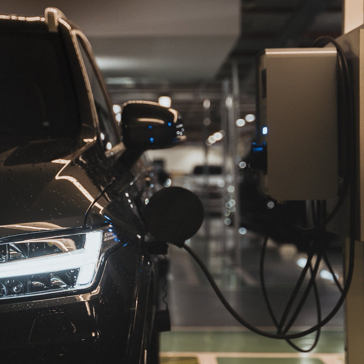 Victoria DRC tweet media