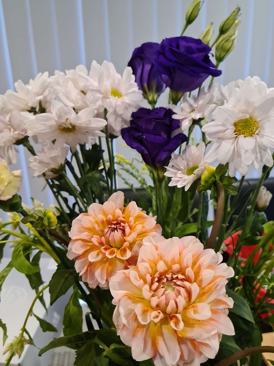 angeeeep's tweet photo. she got my flowers :') https://t.co/OzF7T1vHyF