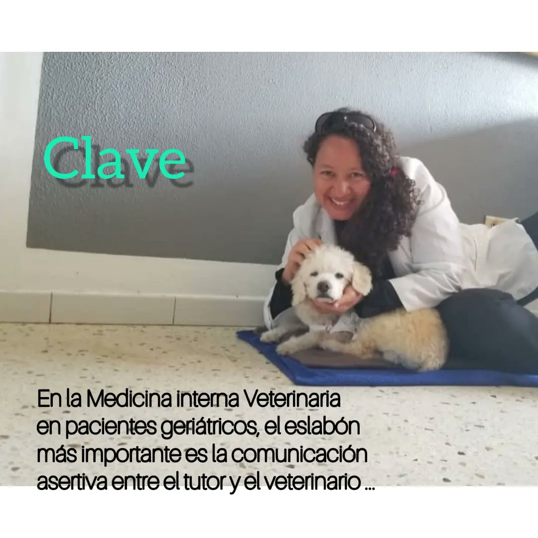 VeteriDomicilio's tweet photo. https://t.co/xZwS8JlFOq https://t.co/uGTyxhbPEH
