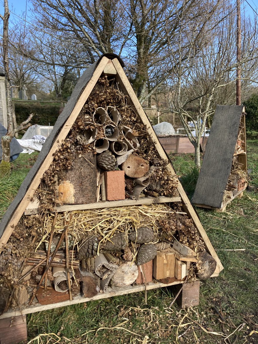 miranda_jane123's tweet photo. @MustardTreePlym @PlymUni This is what happened to them! Great day making bug hotels with @OTPlymouthUni students experiencing the wonder of meaningful occupation, connection to others and nature! Thanks Blooming Well @kerryann_steele @alisonfwarren https://t.co/6OGJUf83a7