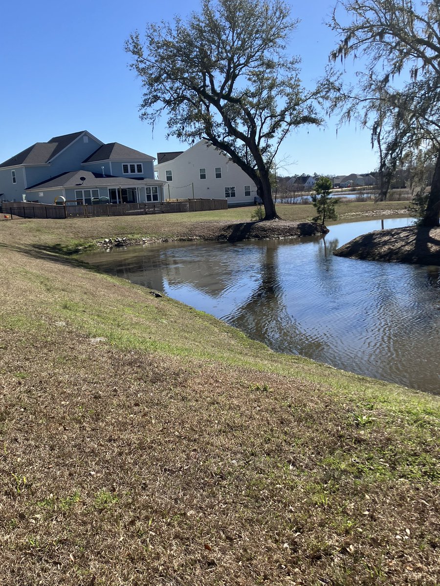 patrick_e_jones's tweet photo. Forget the groundhog, the first alligator spotting has to mean spring is near! https://t.co/XKHAq014WI
