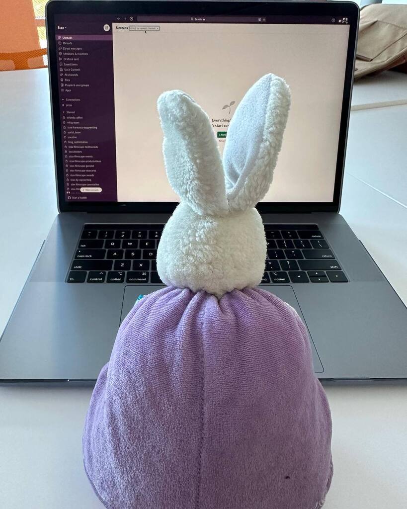 bunmking's tweet photo. workin hard today doin all the stuffs #worldbunnydomination https://t.co/IoBlEdWT80 https://t.co/X30bBfUdbU