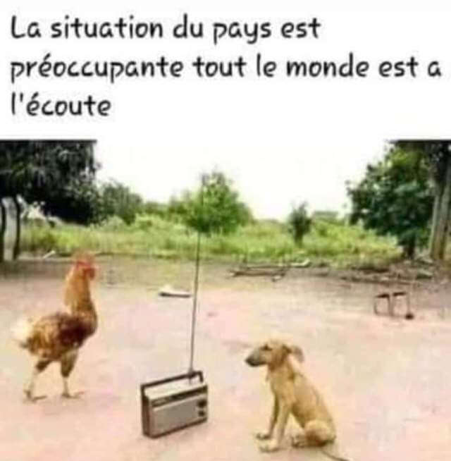 IsZerbo's tweet photo. Journée mondiale de la radio. https://t.co/oxjW5tK98g