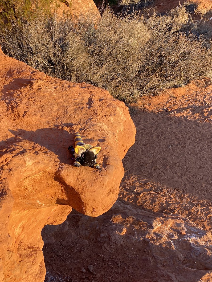 Rivet the Proto 🇺🇦 KBBirdy on Twitter: