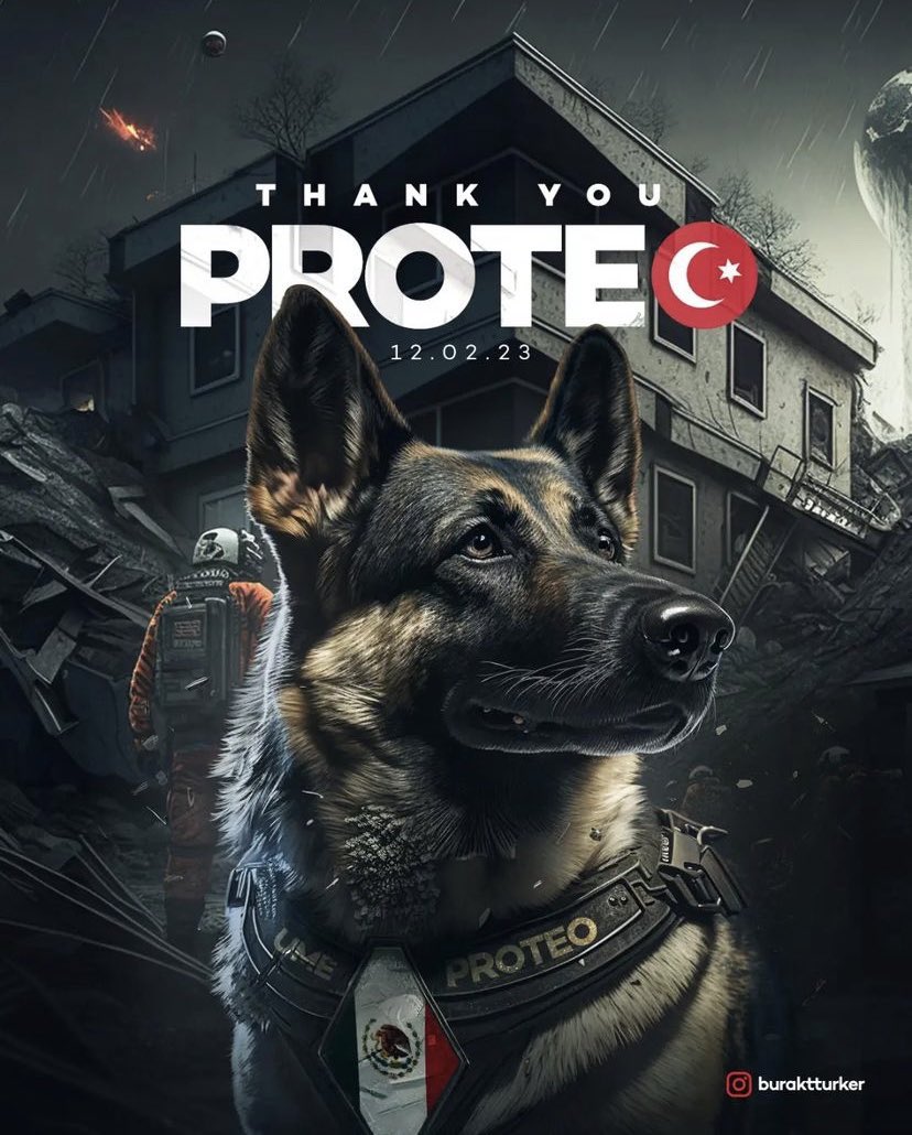 drmahmutkocak's tweet image. Türkiye Meksika dostluğunu simgeleyen ve prote yi sembolleştiren bir anıt yapılmalı ,milletimize,vatana ve devlete hizmet ederken ölmüş her canlıya vefalı olduğumuzu tüm dünyaya göstermeliyiz. Yaramız büyük vefamız daha büyük . #prote #Meksika #Türkiye @tcbestepe @MehmetNuriErsoy