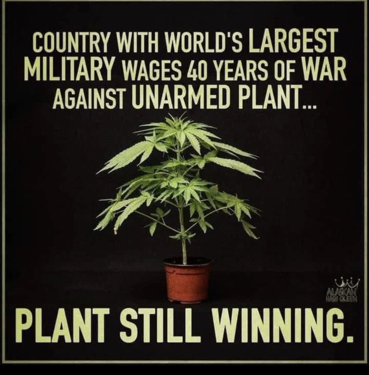 theslothdog3000's tweet image. Fun fact 😂