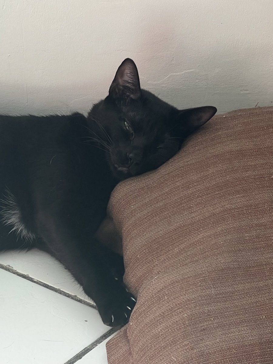 Ashley Malia tweet media