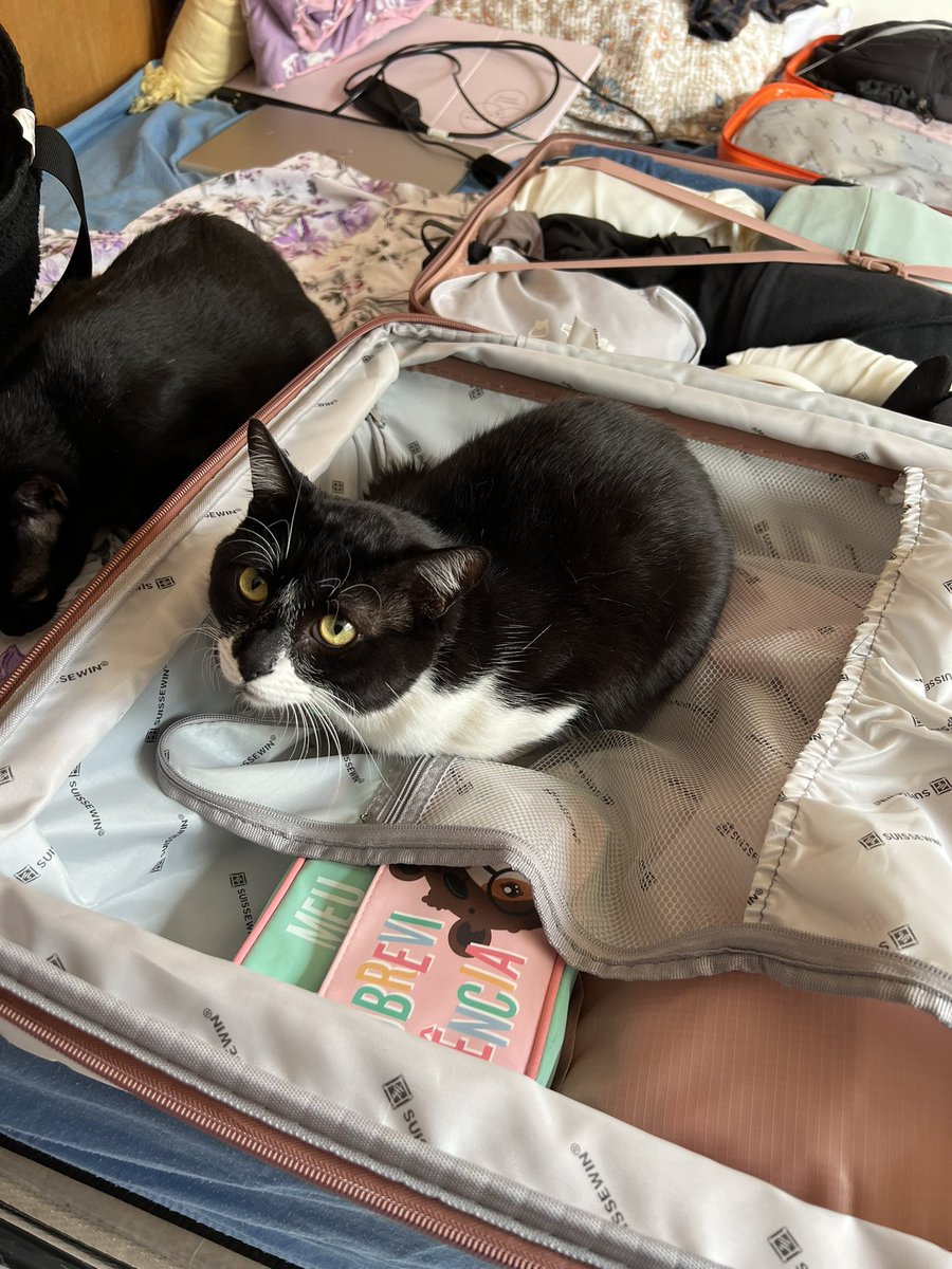 Ashley Malia tweet media