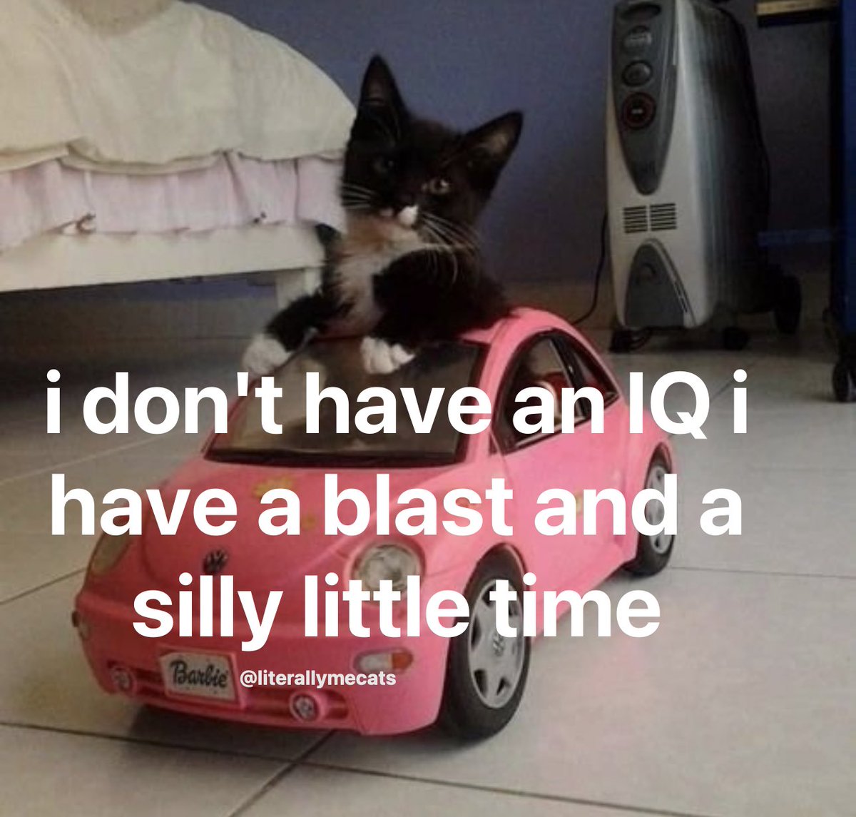 literallymecats's tweet photo. https://t.co/Q5GjfFG3Uq