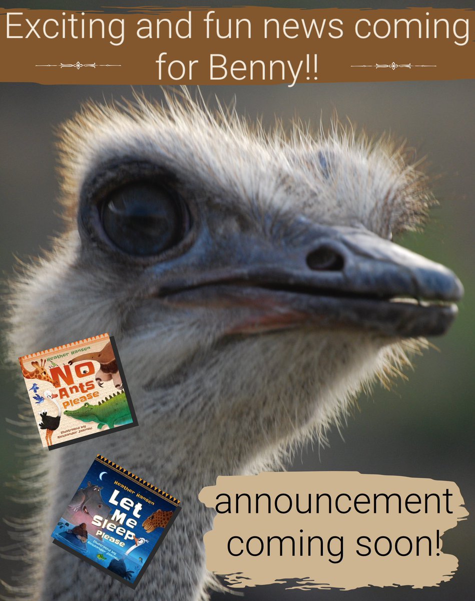 Missheather0813's tweet photo. #picturebook #booktok #kidsbooks #BookRecommendations #ostriches #africananimals #education #bedtimestories https://t.co/8MOtOgn7ec