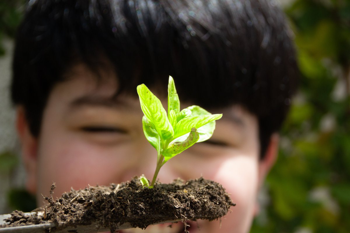 ClimateLit's tweet photo. Join us this Wednesday, 2/15 for the upcoming webinar "Teaching Climate Consequences with CLEAN: Motivate and Inspire, Don't Despair", led by Geologist and Science Writer Karin Kirk ⭐️
Register and learn more about CLEAN's webinars here: https://t.co/yqio92DIB6
#TeacherPD https://t.co/BTE0MRF33l