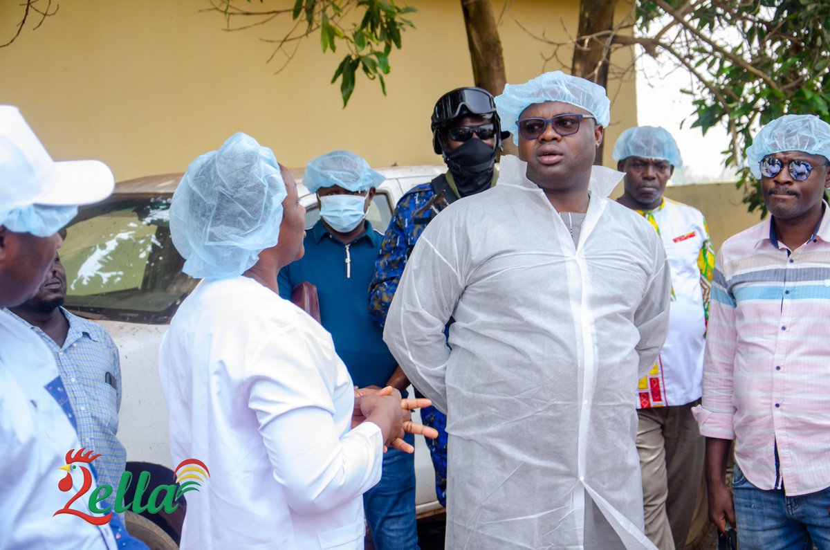 lella gn tweet media