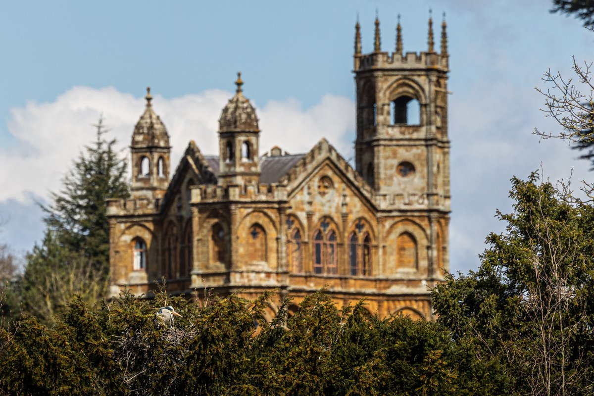The gothic temple rises from the treetops at Stowe, but can you spot an unexpected visitor?

Photo: David Humphries