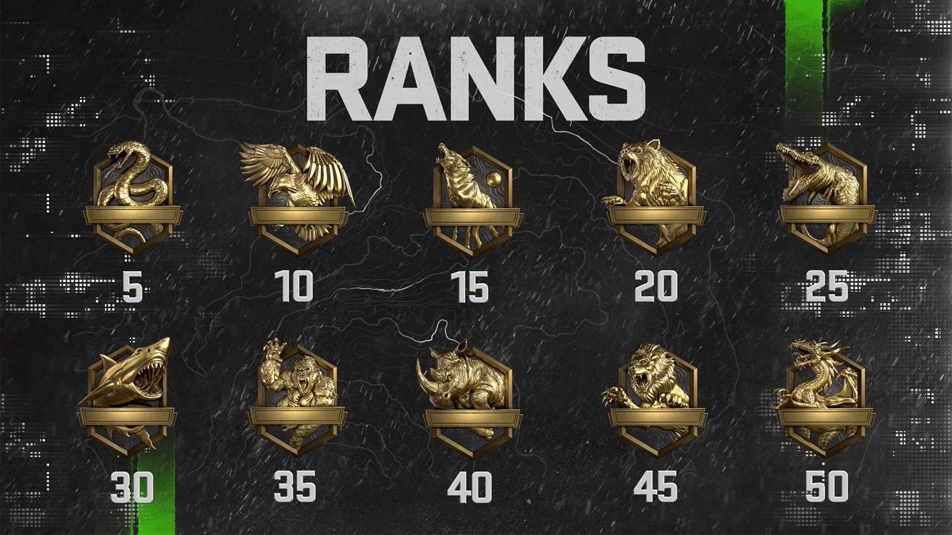 Modern Warfare 2 Skill Divisions and Ranks