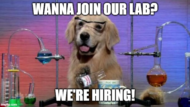 mgautrea's tweet photo. Check out our link at https://t.co/WG5ngKQnzl .  Only applications at the website will be considered. https://t.co/0iiJa38T98