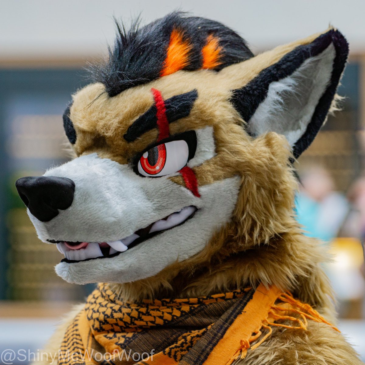 @Raven_the_Husky I have an #Eurofurence26 photo of you! If you want the full quality just hit me up in the dms.