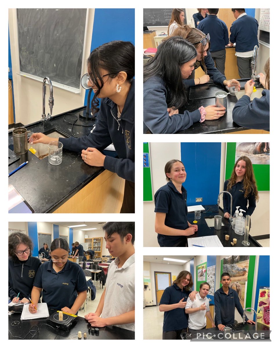 It’s the first lab of many for our Gr 11 IB Biology students. Today they are trying to solve one of the great questions of the universe…. Is there a significant statistical difference in the mean density of cork and rubber stoppers? #mpsjbio ⁦<a href="/PowerIB/">MPSJIB</a>⁩ ⁦<a href="/MPSJ_TCDSB/">Michael Power/St. Joseph High School</a>⁩
