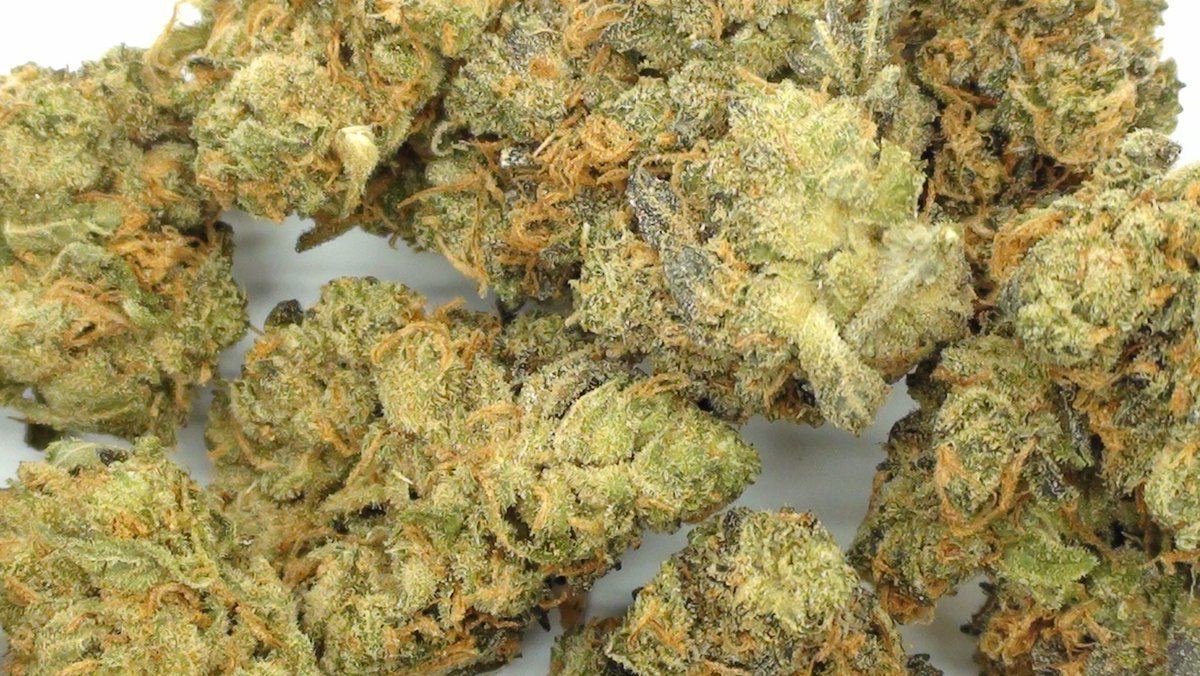 Bobs Bomb Buds tweet media