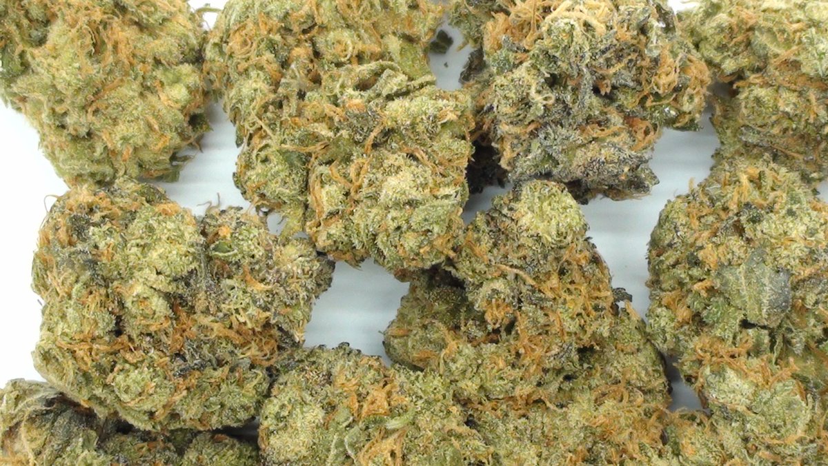 Bobs Bomb Buds tweet media