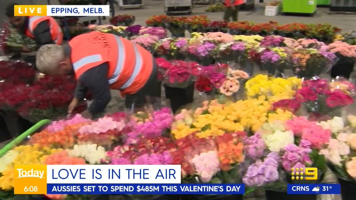 9News Melbourne on Twitter "Love is in the air, as Aussies prepare to