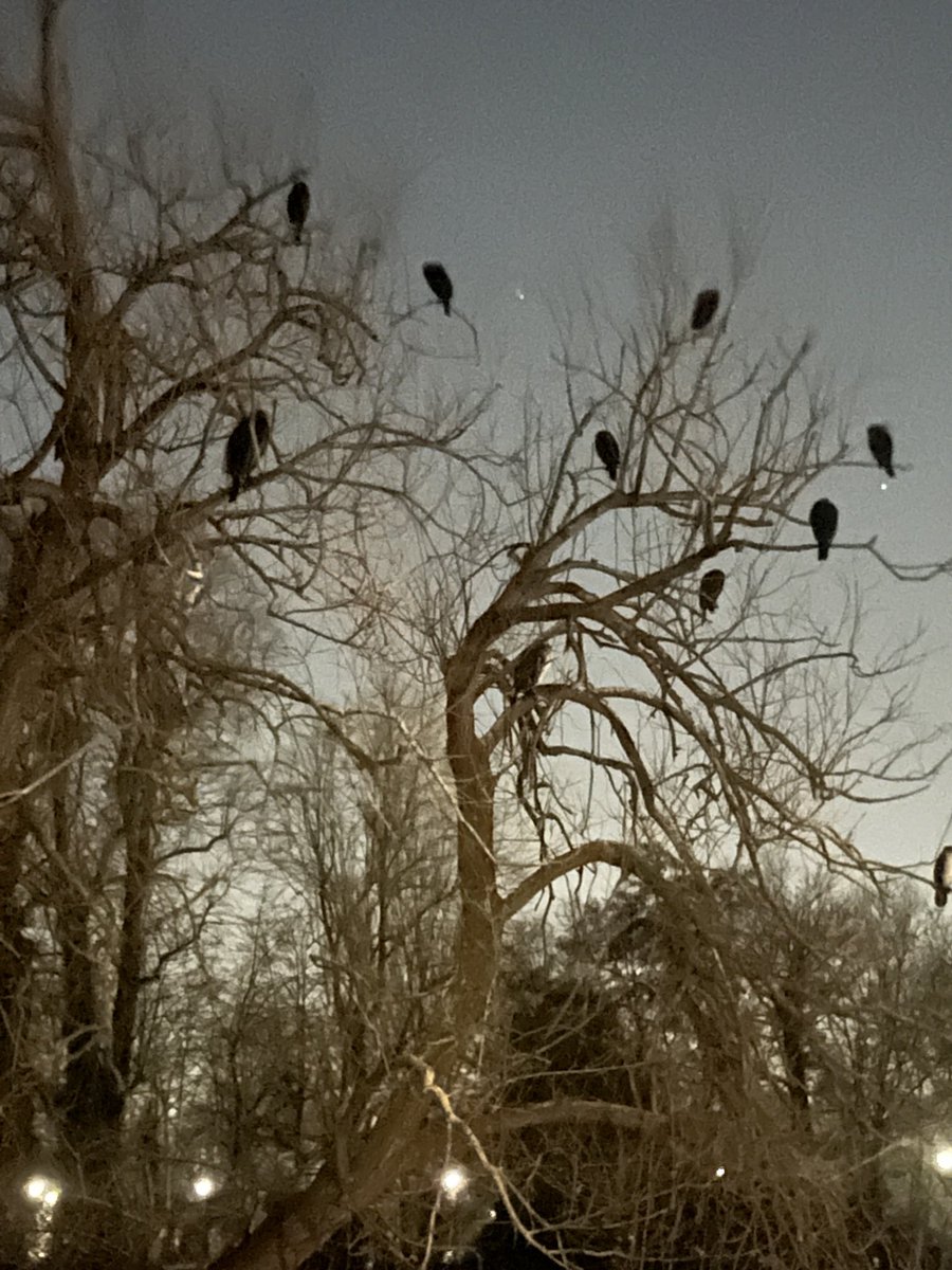 Henry Tapper tweet media