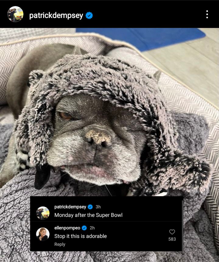 dempeothinker's tweet image. things that make my heart happy 🫶🏻🫶🏻