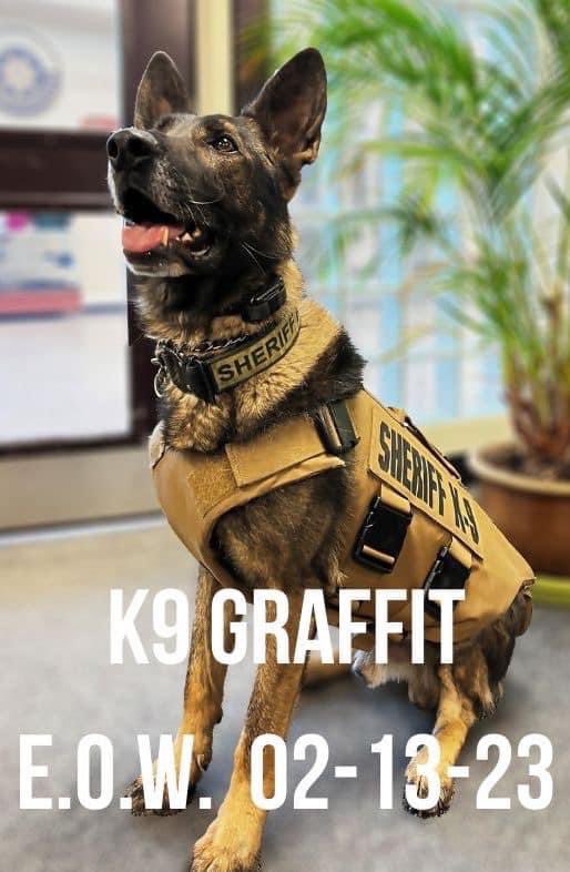 k9sofvalor's tweet photo. K9 END OF WATCH: K9 Graffit from the Jefferson Co Sheriff in Colorado was tragically shot &amp; killed early this morning assisting other agencies looking for an armed suspect. Graffit tracked/ alerted on the suspect who then shot at Graffit. RIP K9 Graffit https://t.co/2sFdEoR90h