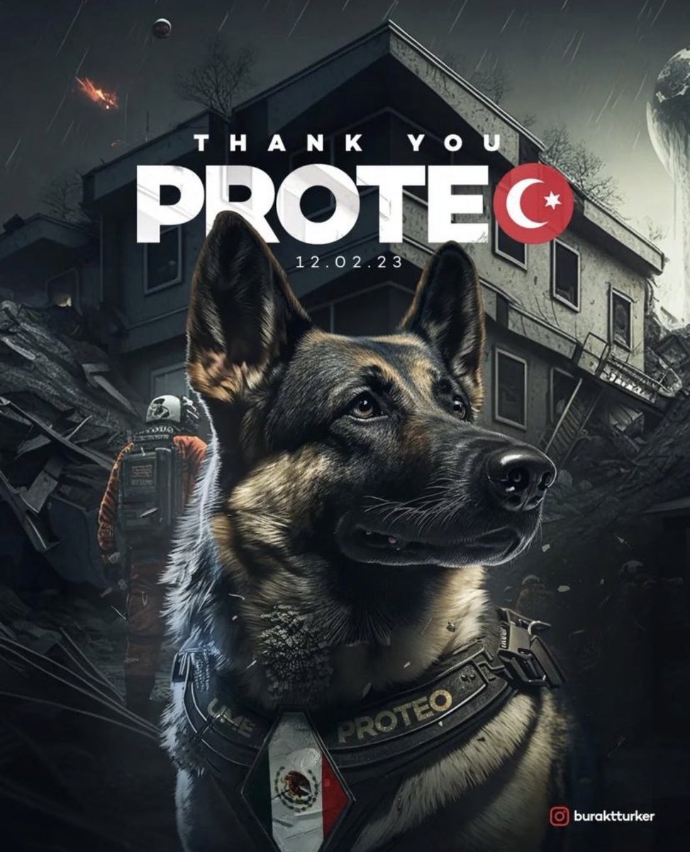 deryabuyukuncu's tweet photo. Depremde insanlara yardım ve kurtarmada AKP’den çok daha fazla yardımcı oldu.

Işıklar içinde uyu #Proteo !!

#hataydeprem #AdiyamanYardimBekliyor #Gaziantep #Turkey #Turkeyearthquake https://t.co/rflGOfRSXg