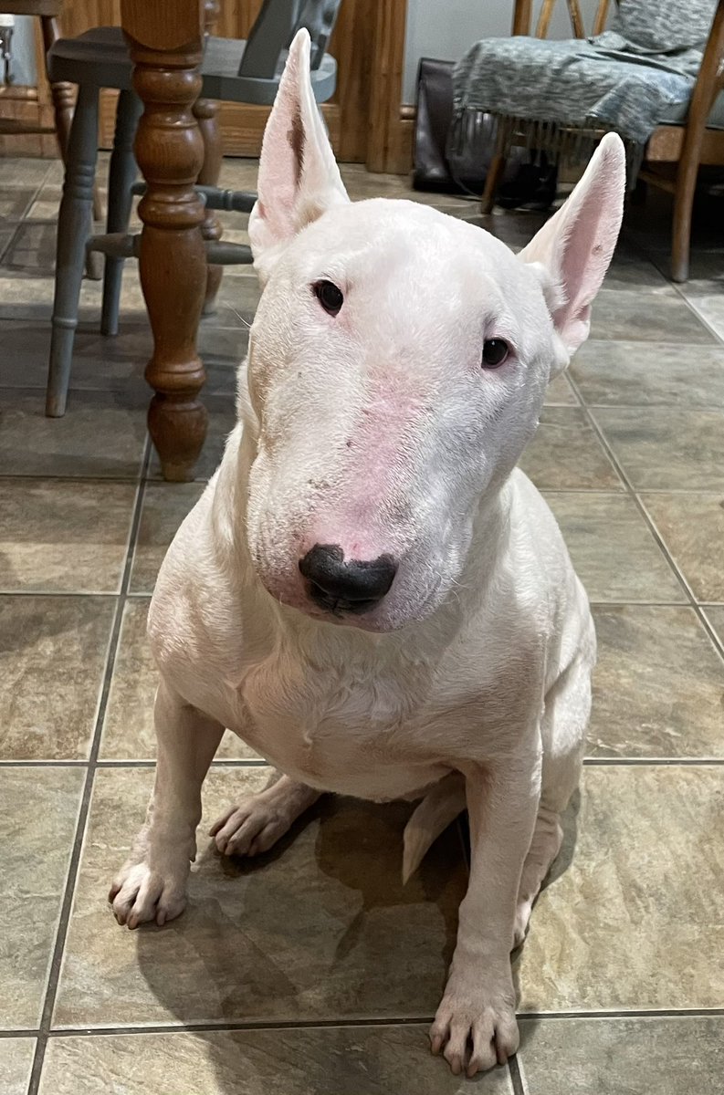 Sawley Junction tweet media