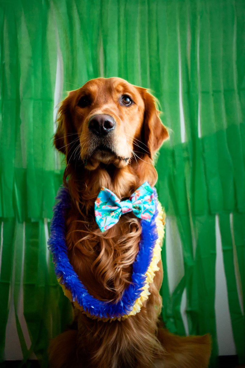 Valentines ready 😘💕