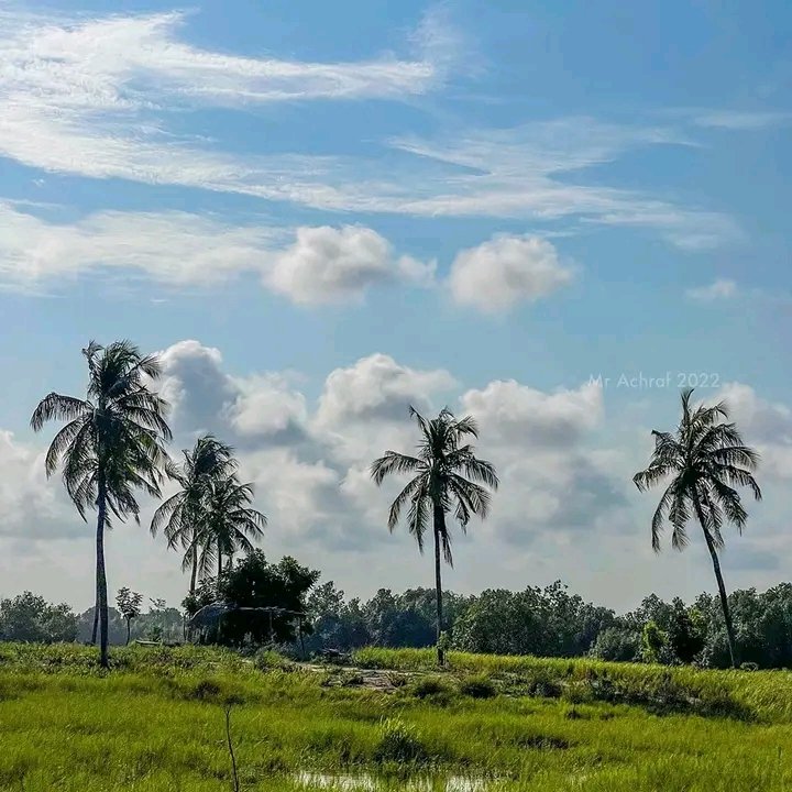 No_Limit229's tweet photo. 📍COTONOU🇧🇯

#VisitBenin 
#NoLimit229
#TT229 https://t.co/FEZJUk9FU0